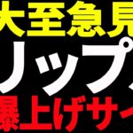 ⚠️大至急見て⚠️リップル（XRP）爆上げサイン点灯間近！見逃し厳禁です！【仮想通貨】