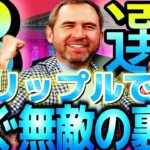 リップルで不幸にならないために絶対に見るべき動画!!!!!!!!!!!!!!!!!!!!!!!!!!!!!!#仮想通貨#リップル#暗号資産#XRP