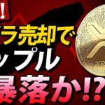 【緊急速報】クジラの大量売却により…リップル大暴落か！？😱【XRP】【仮想通貨】