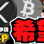 【重要】バブル終了はウソ？XRP・ビットコインはどこまで上昇？仮想通貨は終わらない！