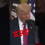 XRP WILL “UPGRADE” THE FINANCIAL SYSTEM! – Molt Media