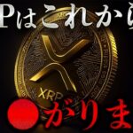 🚨XRPはこれから◯がります。 #リップル #仮想通貨 #ビットコイン #xrp