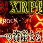 裏技入手‼️いつXRPリップルは高騰するのか🔥【全て把握できるとしたら…】チート級情報を共有します‼️#xrp #リップル #暗号資産 #ビットコイン #仮想通貨