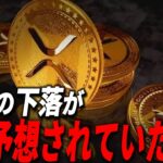 『リップルの現実』XRPの下落は…実は想定内の範囲だった。。。#xrp #仮想通貨 #リップル #暗号資産