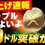 【リップル爆上げ速報】XRPついに20ドル突破か！？🚀【仮想通貨】【アルトコインバブル】