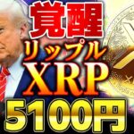 【仮想通貨】XRP(リップル)34ドルの世界。仮想通貨界に旋風巻き起こる【ゆっくり】
