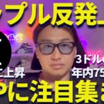 【XRP速報】リップル440円まで反発上昇！やはり年内750円は確実か？