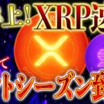 XRPリップルを超える⁉️【ETF申請ラッシュでアルトコインシーズン到来🔥】新型ETFとその銘柄とは…#xrp #リップル #ビットコイン #暗号資産 #仮想通貨