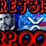 リップル速報：XRP使ったFIREの方法、完全解説します!!