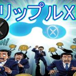 最新【リップルXRP】リップルXRPの成長に皆が恐怖する！