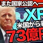 【リップルニュース】XRPはここに注目してください🚀新たな指標によりクジラが流入！その仕組みを解説します【仮想通貨XRP最新情報】