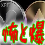 最新【リップルXRP】XRP クジラの売り圧低下！ETH クジラの爆買い！【イーサリアムETH】