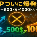 【XRPリップル】XRP爆上げシナリオ解禁！価格100ドル→500ドル→1000ドルの道を徹底解説