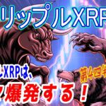 最新【リップルXRP】【衝撃】リップルXRPは、第4四半期に時々爆発する！？クジラは最近 静かに蓄積している！