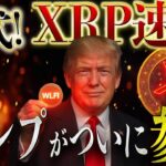 🔥XRPリップルの期待が霞むぐらいの爆益銘柄誕生‼️【トランプ参入がもたらす影響⚡️】タイムリミット間近です‼️#xrp #リップル #ビットコイン #暗号資産 #仮想通貨