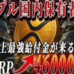XRP保有者みて！！！国内取引所で史上最大の給付金が来るぞ！！！#xrp #仮想通貨 #リップル #暗号資産