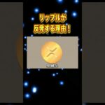 リップルがこれから期待できる！ #リップル #ビットコイン #仮想通貨#shorts