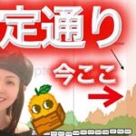 過去のバブルと同じ動き 下落は心配なし