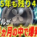 『リップルネタバレ』マジで分かっちゃいました。。。。。。。。。。#xrp #仮想通貨 #リップル #暗号資産