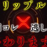 【ＸＲＰ最新】知らない人だけが損をする衝撃事実。 #リップル #仮想通貨 #ビットコイン #イーサリアム #xrp