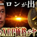 【12月XRPは●円⁉️】イーロンが出したリップルの答え。 #リップル #仮想通貨 #ビットコイン #xrp #イーサリアム