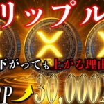 20XRPで億り人、安心して下さい。リップルは下がっても上がります。