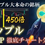 【過去バブル450倍】リップルの現在と今後の展開について