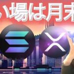 現在急騰しているAster について 今年はアノマリー通りではない