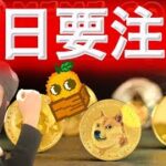 ドージETF今週上場か 9月11日も注意ぞ リップルまた好材料