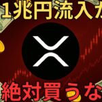 【速報】リップルETF誕生！1兆円流入予測でもXRPを絶対に買ってはいけない理由【仮想通貨】
