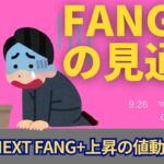 新NISA】9.25FANG+の見通し｜iFreeNEXT FANG+上昇！著名投資家のテック企業の見立ては暴落の未来！？