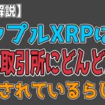 最新【リップルXRP】【衝撃】取引所への約2億3,500万XRPの大量流入！？　2025年最新XRPリッチリスト も紹介 【音声解説】資料あり