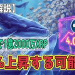 最新【リップルXRP】【期待】クジラが過去72時間で1億2000万XRPを購入！【音声解説】