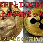 XRPとDOGEの本格上昇が始まった！！【仮想通貨最新情報】