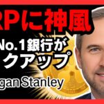 【XRPに神風】全米No.1銀行がリップルを強烈バックアップ！モルガン・スタンレーの衝撃レポートで価格は動くか？ #xrp #リップル #仮想通貨