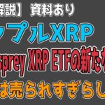 最新【リップルXRP】【期待】REX-Osprey XRP ETFは9月〇日頃に発売！クジラVS短期投資家の攻防【音声解説】資料あり