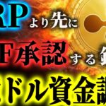 【XRPリップル・XLMステラより先行で認められるのか？】伝説的銘柄が輝く日付が近づいています！#xrp #xlm #doge #crypto #web3 #ビジネス