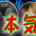 最新【リップルXRP】【衝撃】XRP ETF 100％承認される！企業によるイーサリアム大量保有が止まらない！【イーサリアムETH】
