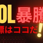 ソラナが止まらない！全面高の仮想通貨相場で次に狙うべき水準は？