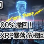 【緊急速報】仮想通貨市場を揺るがした「中国関税100%」の脅威がまさかの「撤回」！？  BTC.リップル行くぞ
