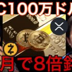 ビットコイン100万ドル(1.5億円)は高市早苗と金が鍵？1か月8倍の仮想通貨は買い？