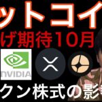 ビットコイン10月爆上げサイン！XRP4.3ドルへ？トークン株式が仮想通貨に影響！エヌビディア最高値更新！