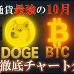 【仮想通貨10月強い】ビットコイン・ドージコイン直近の見解について　#btc #doge #dogecoin #仮想通貨 #暗号資産