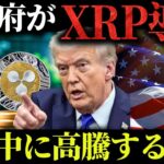 【リップル速報】米政府の金融システムにリップルを採用し、11月中に高騰する理由【仮想通貨】