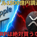 【速報】リップル1500億円資金調達！それでもXRPを絶対に買ってはいけない理由【仮想通貨】