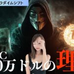 【ビットコイン】年内160万ドルまでいく根拠が更に深まりました