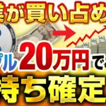 【大企業も注目】リップル20万円買えばお金持ち確定【仮想通貨】【ビットコインより速くて安い】