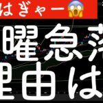 【おはぎゃー😱】日経先物2,000超の下落！急落2つの理由！　#米国株 #日経平均