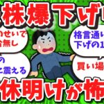 【2ch/新NISA】高市相場での歓喜が、トランプの一言で投資家涙目