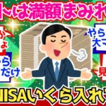 【2chお金】ネットでは満額まみれだけど、実際お前ら新NISAにいくら入れてる？【2ch有益】